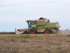 Claas Mega 208 Dominator