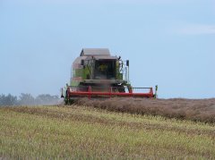 Claas Mega 208 Dominator