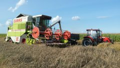 Dominator 98 & c-382