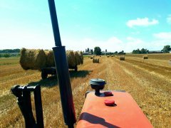 Massey Ferguson 255