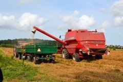 Massey Ferguson 38