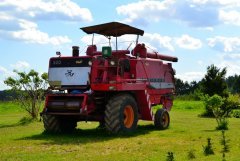 Massey - Ferguson 620