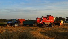 MF Activa 7244 &  New Holland T7.185