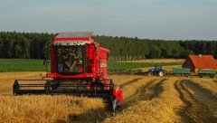 MF Activa 7244 &  New Holland T7.185