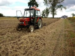 Talerzowanie ścierniska