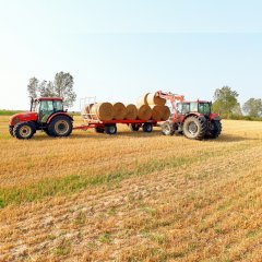 Zetor Proxima 8441 & Metal-Fach T014/2 Zetor Forterra 115