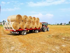 Zetor Proxima 8441 & Metal Fach T014/2