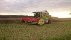 Żniwa 2017 ll Claas
