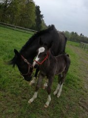 Olimpia & Figarooo