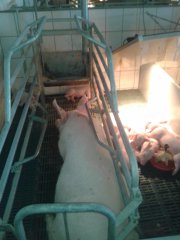 "mariolka" z rodzina :)