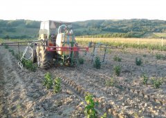 Pilmet Termit 317 +belki do oprysku krzewów (malin)