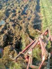 Pług Uni Grudziądz