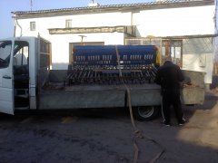 Siewnik Poznaniak so43 3m