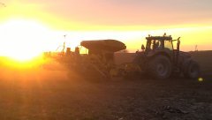 MF i siewnik agrisem.A w czym siejecie?