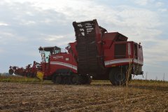 Grimme Maxtron 620