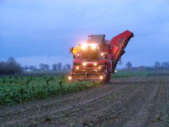 Grimme Maxtron 620