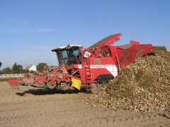 Grimme Maxtron