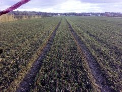 Julius w mulcz z ugoru po 1x talerzówką