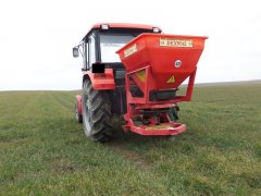 Pszenica ozima Joker