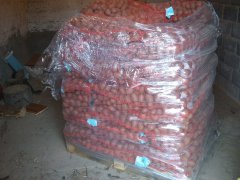 Ziemniaki -sadzeniaki