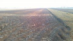 Pole po orce pod kukurydzę