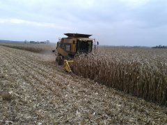 CAT 480 Lexion