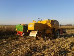 Kombajn Sampo 680 + corn head Massey Ferguson 33