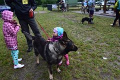 Dogtrekking - Łapa na szlaku w Biłgoraju