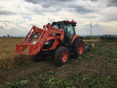 Kubota M7060 - kopanie ziemniaków