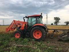 Kubota M7060 - kopanie ziemniaków