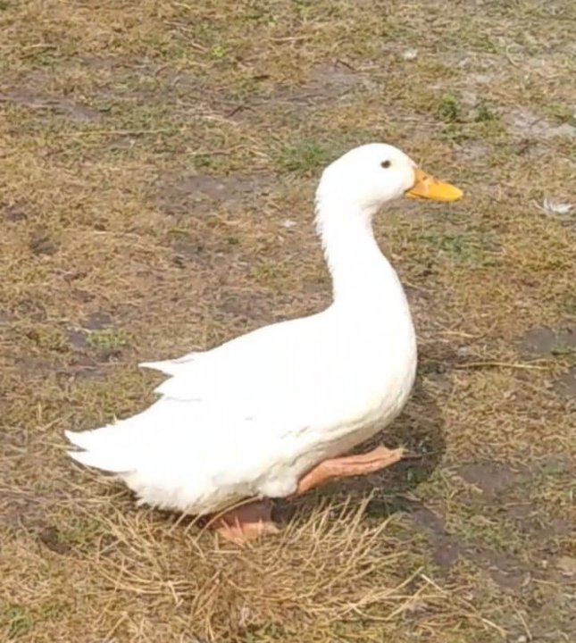 117643115_221927552450340_7844012932790464286_n.jpg?_nc_cat=110&_nc_sid=ae9488&_nc_ohc=Wcq0SS9F2g4AX9a5Fog&_nc_ht=z-p3-scontent.fwaw8-1.fna&oh=2983a5f82e7e7b5452f5b3adfded040b&oe=5F577A8E