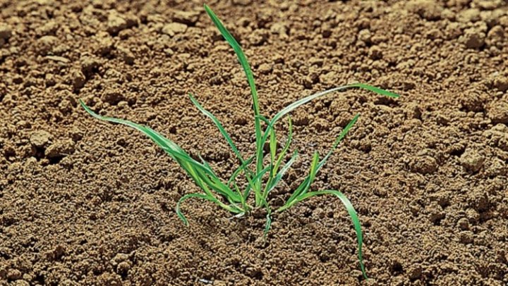 apesv_8_750x422.jpg?1557815315649