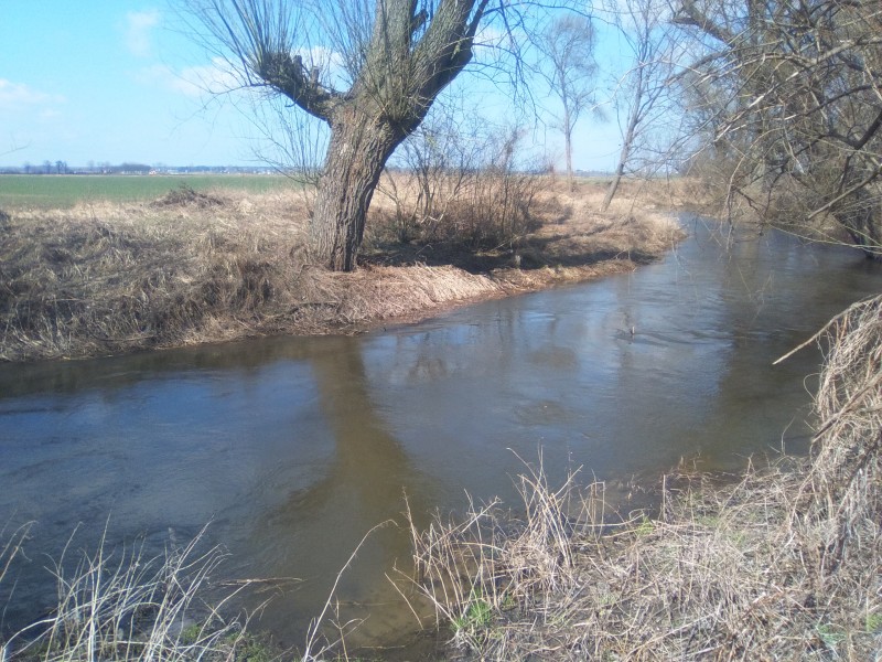 01c5d76bc1e858e037835e2c39d8992f_orig.jp