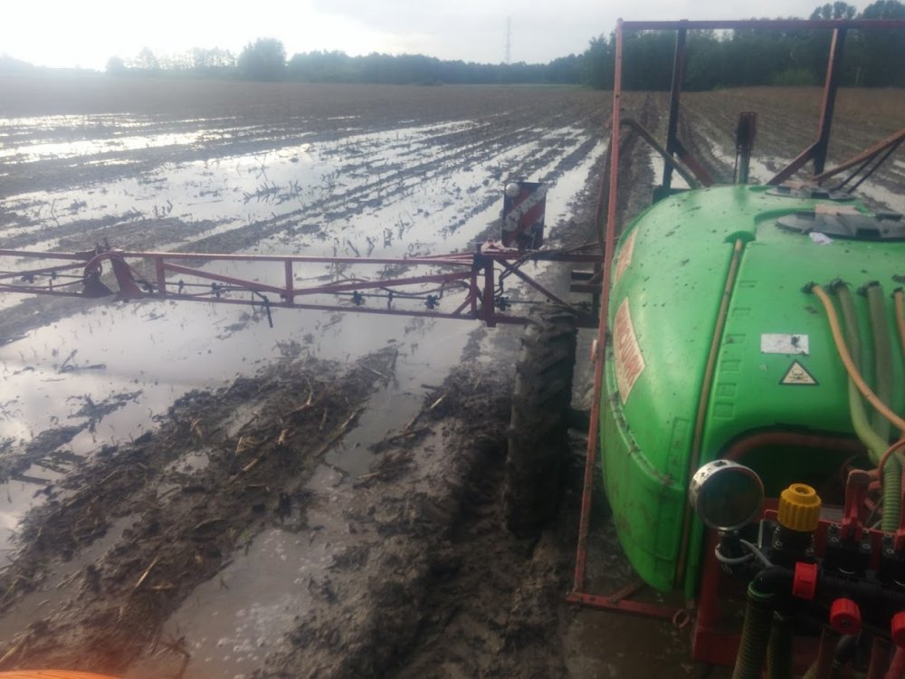 _8Y4SxnWCXf8hVsf7u0XFJNVljrDL6zSSgDfBGs7