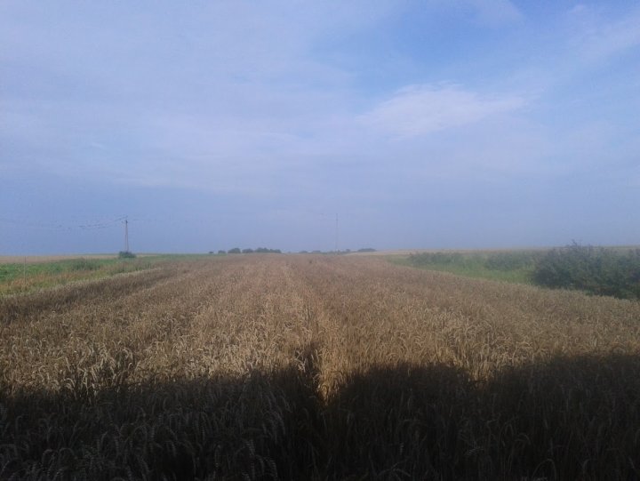 ACtC-3e5Q1l8tqd1wGcRUAtivpJvd-R3of9XoKnb