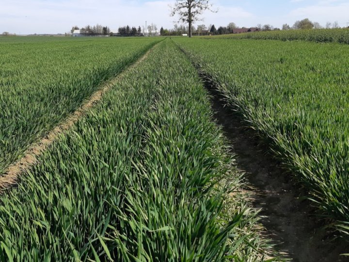 Do6XUsz4iqG5yCwhhhs3PyAmKJX56aPG8BqVOxJe