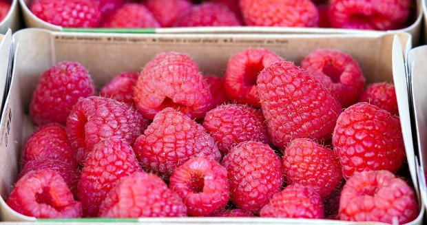 Serbscy plantatorzy zacierają ręce. Ceny malin będą wysokie