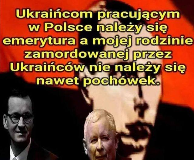 312872501_416698700656439_29453164695801