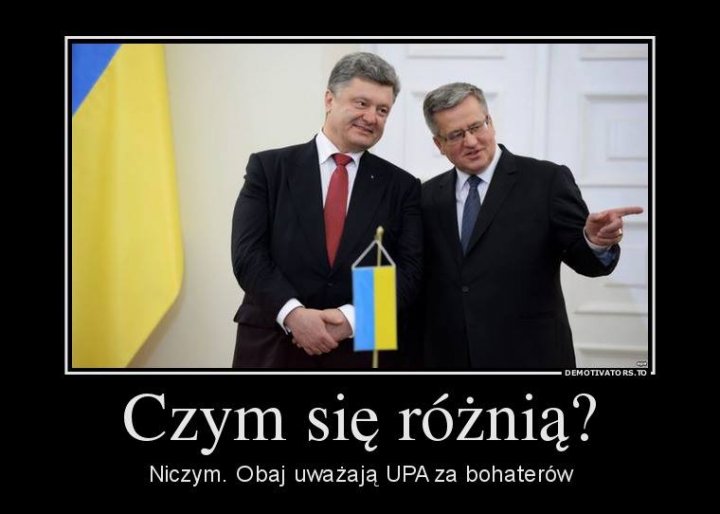 10342775_671638349630901_465857920195243