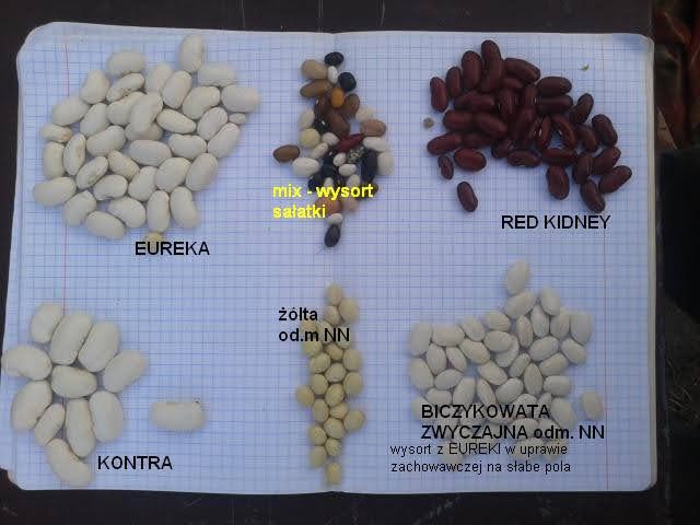 AL9nZEU_v2NQMCoUU5Q2ZwwAgtKkAipmQgG6cWwU