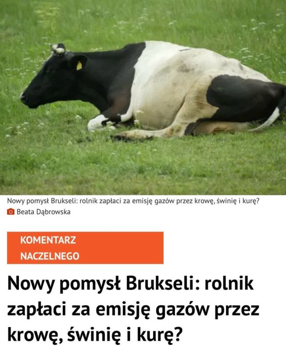 Może być zdjęciem przedstawiającym tekst „Nowy pomysł Brukseli: rolnik zapłaci za emisję gazów przez krowę, ÅwiniÄ™ kurę? Beata Dąbrowska KOMENTARZ NACZELNEGO Nowy pomysł Brukseli: rolnik zapłaci za emisję gazów przez krowę, świnię i kurę?”