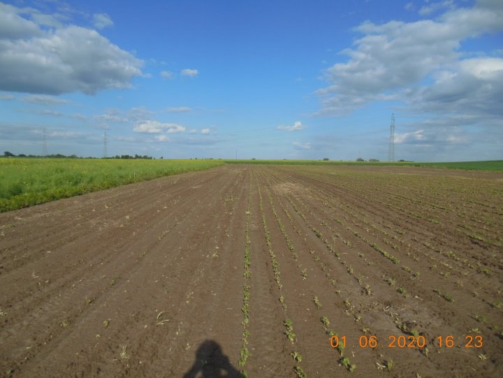 5xcnCuMywh1J1N1PILWrPMpB2IBgN0_my_XcbMy4