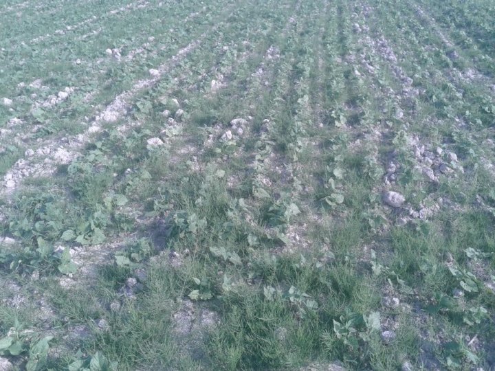 ACtC-3cAMWOjMIm04c9jqIBEHTATAYp2XgszUbf9