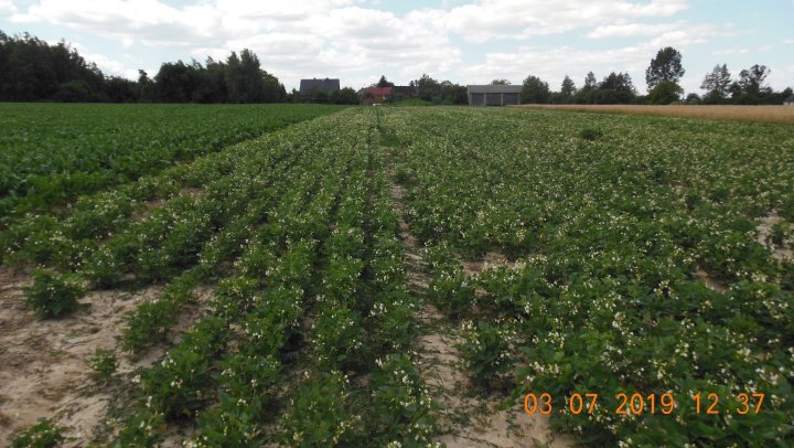 AJFCJaXW9nWQ9ohnIPwRMgNfYv_5I5y-IQSnuNox