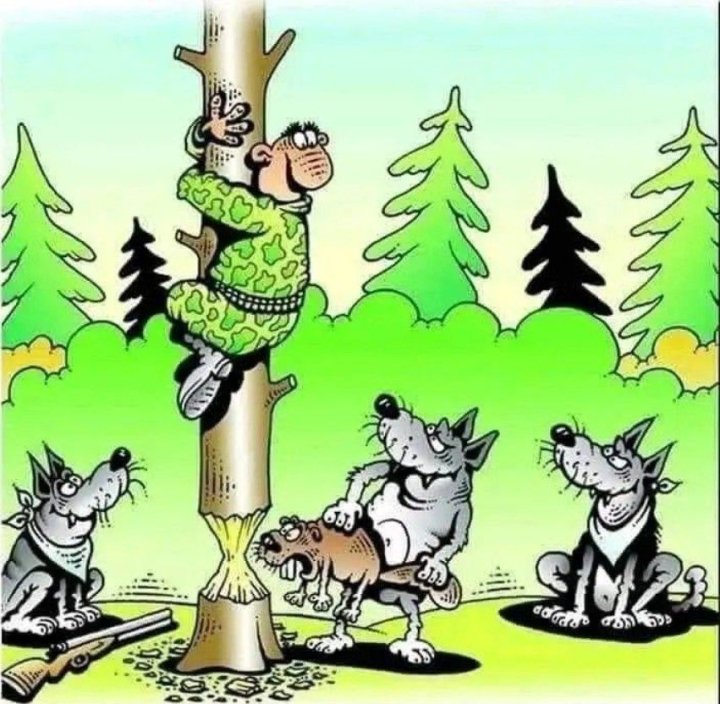 Może być zdjęciem przedstawiającym drzewo i tekst