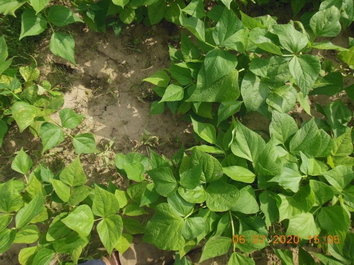 AJFCJaUcFOMy4RPBM23zT9M-T2gzCilYayZtuVTV