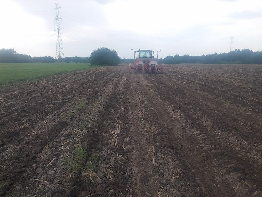 TUq8o2umKVHOY2pOcYOUMPmIMBikJSkM2OUDw5WM