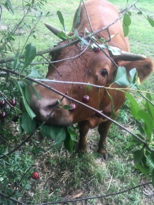 AIL4fc_I9Itffv0VQYLjldaaO72ihmCeqQNrp_0RDs_DU7j8xyzOvBjOb-fDMBUmWg-BEMFc5FLRxLqTuJPGG1GvOdWdmOCtC6UEB_7ByvhXJXDAwiplr7DdnPQsDOw-QO4ENUKO74mE2aUmUZlRZEWncV9Ksv6SeSEJ7TawXYr_k3aCKStr52oxFETog5-bJg0RA6FMJAGXmZC30qPi_HWeDF0POnTuc0gZ5UM1N2hMMn1n5P_nDvPuRcpmh5v7Bx_aHYynFp6pjxoS9S-O-lTXeYvdPbBVkdhRrzuiaHUndXMMLZWpSOeUJ4rJmaFoFDJyRJOxlKyv_44XLvvEba4WeCfHxmgl4Q---MxGi6_0HyEl9rndBwDElTcVzXY7XObW8mg1Xf7BhellezuVbLzCuTjyrCqkwdPCEjZCu4dQ1VRkK2xMoxt57Ayiwbg3qCEyT8ZqLnEnWwHdZxS9NDRYHKHFJjcf_ymvh9YRkMmL1hHUhIlw2vAW19jPrI3jxL_Ukhef-_55CwSg8fZ-TKggqvjPdW0X9ijSumhVhSqAjLaDXzz92Ymnj1WgFDLoYkWyFAX1seQPU-vKqu0Lc92-CfGNTp7Ke8yuQiZy5Fbt_x10Eux9FB_1RmRIGz2By6CfAC_wNOdABQ2g3damQtuW7UV4TeA5cYO0f6Wfp2AfgowlnIrqW2W3DcIgv-y7ZXmS2YU9PLrMPqkhezYEE-nBkD1hfNe4HwD01_AGuFlDKBm_1NtLYfxBzHyE78cjMTD6Q8gOUb9jETrCK23xV1DTZlowlr4Y56Qc7L0zvjEkwMm4ywHgty92v6XpAINflYhaRFABCny4KJXtxFbYD5gJDnCOdCFOWmY_yU_aqn1pcSS4zlefFGKFJBAifjXoxHDjeNubGRYH8P_ym2f3spIqEw=w703-h937-s-no?authuser=0