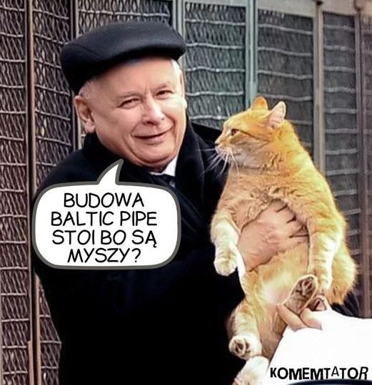 195508526_781895462498536_83149909430361