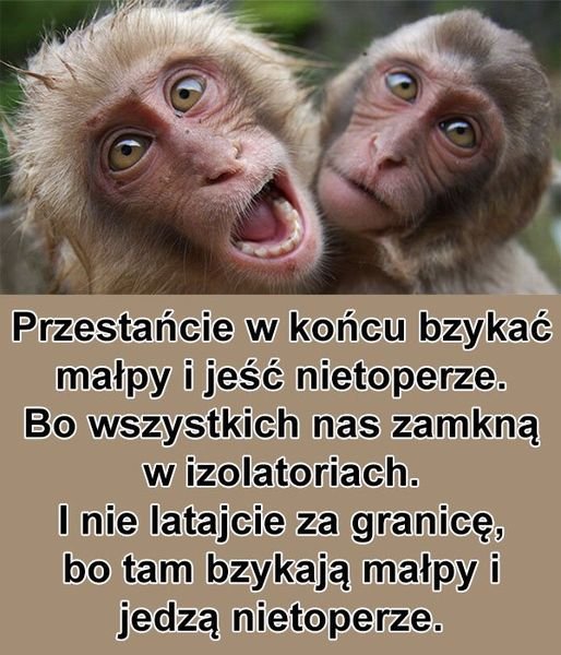 287823840_5195203130572541_9146291393570